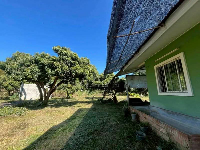 ขาย - ขายบ้านสวน โซนสันป่าตอง เชียงใหม่, เชียงใหม่