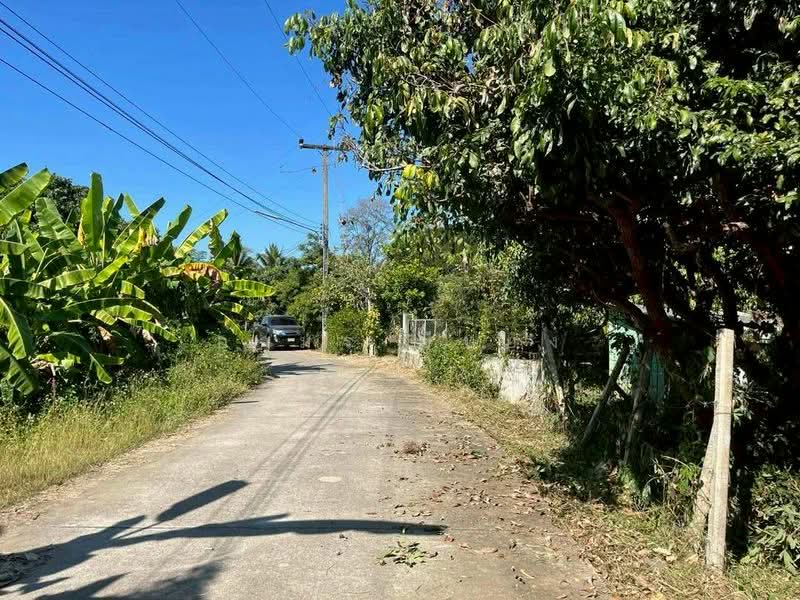 For Sale - ขายบ้านสวน โซนสันป่าตอง เชียงใหม่, Chiang Mai