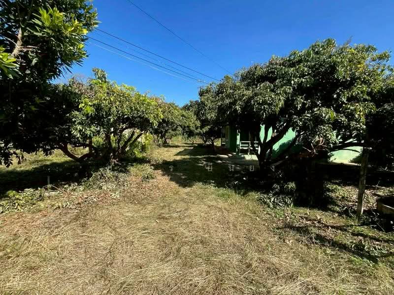 For Sale - ขายบ้านสวน โซนสันป่าตอง เชียงใหม่, Chiang Mai