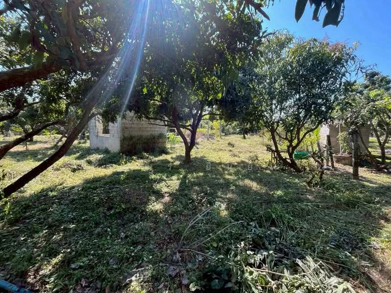 For Sale - ขายบ้านสวน โซนสันป่าตอง เชียงใหม่, Chiang Mai