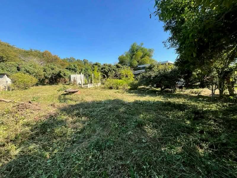 For Sale - ขายบ้านสวน โซนสันป่าตอง เชียงใหม่, Chiang Mai