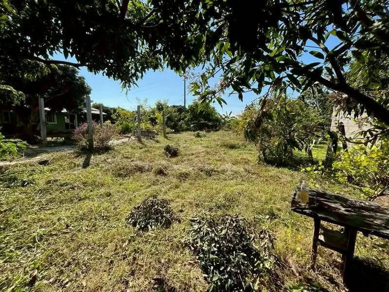 For Sale - ขายบ้านสวน โซนสันป่าตอง เชียงใหม่, Chiang Mai