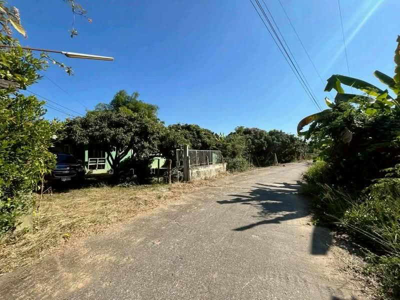 For Sale - ขายบ้านสวน โซนสันป่าตอง เชียงใหม่, Chiang Mai