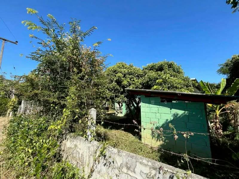 For Sale - ขายบ้านสวน โซนสันป่าตอง เชียงใหม่, Chiang Mai