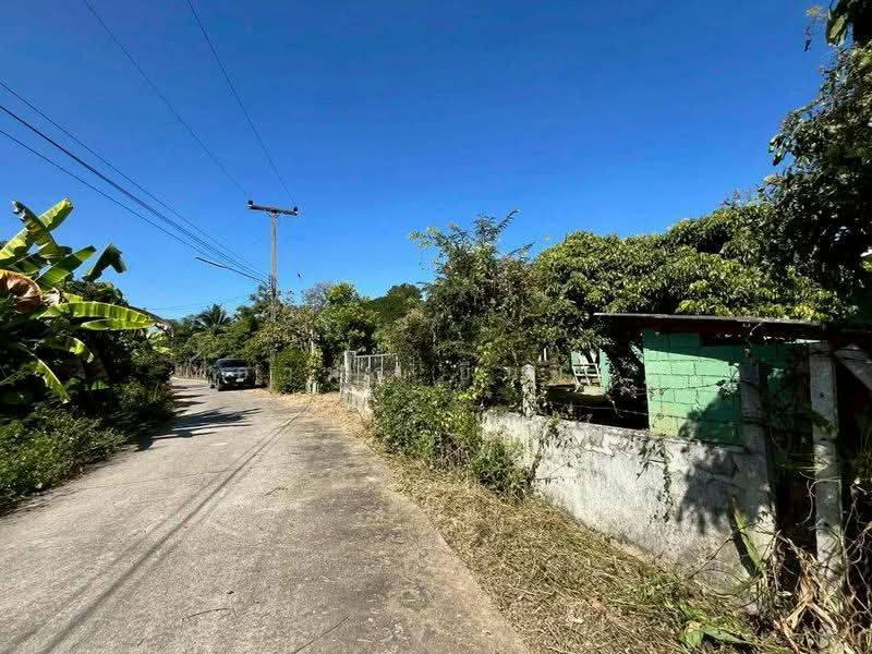 For Sale - ขายบ้านสวน โซนสันป่าตอง เชียงใหม่, Chiang Mai