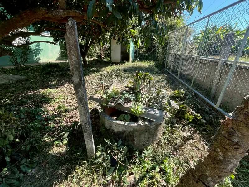 ขาย - ขายบ้านสวน โซนสันป่าตอง เชียงใหม่, เชียงใหม่