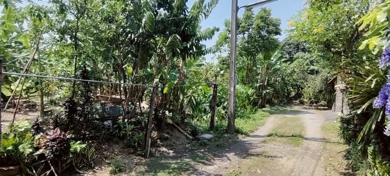 ที่ดินเปล่า หลังปั้มปตท. ราชพฤกษ์ 254.1 ตารางวา, Nonthaburi, Bang Rak Noi, Muang Nonthaburi, Nonthaburi, , 1,016 sqm, Land For Sale, by นันธิกา ศรีสุวรรณ, 500165852 - DDproperty.com