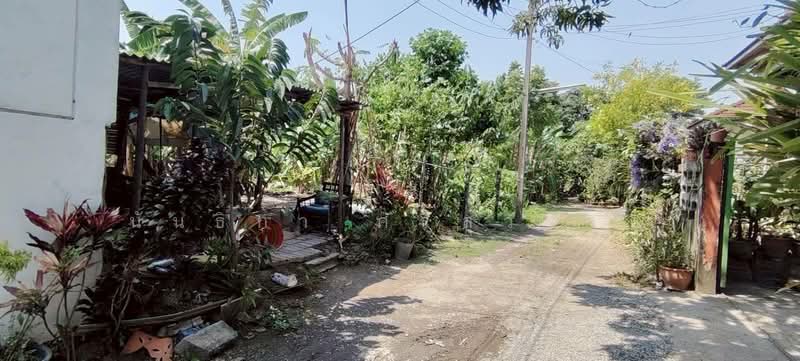 ที่ดินเปล่า หลังปั้มปตท. ราชพฤกษ์ 254.1 ตารางวา, Nonthaburi, Bang Rak Noi, Muang Nonthaburi, Nonthaburi, , 1,016 sqm, Land For Sale, by นันธิกา ศรีสุวรรณ, 500165852 - DDproperty.com