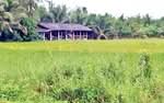 ที่ดินระโนด สงขลา, สงขลา