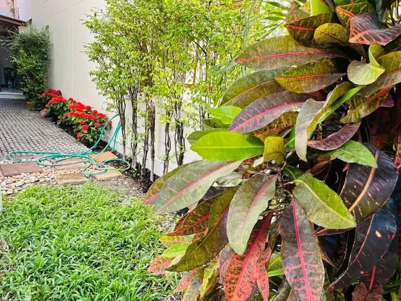 บ้านเดี่ยว, กรุงเทพ, คลองตันเหนือ, วัฒนา, กรุงเทพ, 400 ตร.ม., บ้านเดี่ยว ให้เช่า, โดย Sittidach Ritkajorn (Jack ), 500165865 - DDproperty.com