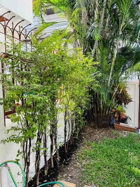 บ้านเดี่ยว, กรุงเทพ, คลองตันเหนือ, วัฒนา, กรุงเทพ, 400 ตร.ม., บ้านเดี่ยว ให้เช่า, โดย Sittidach Ritkajorn (Jack ), 500165865 - DDproperty.com