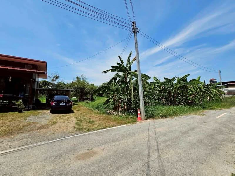 ขาย ที่ดินสวย โซนเชียงใหม่, Chiang Mai, Tha Sa La, Muang Chiang Mai, Chiang Mai, , 1,800 sqm, Land For Sale, by Armon Yuenyong, 500165873 - DDproperty.com