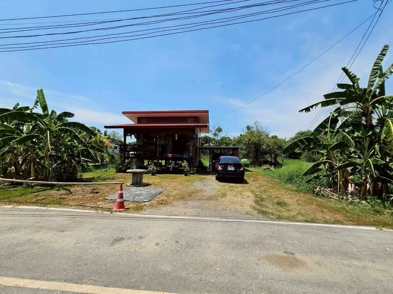 ขาย - ขาย ที่ดินสวย โซนเชียงใหม่, เชียงใหม่