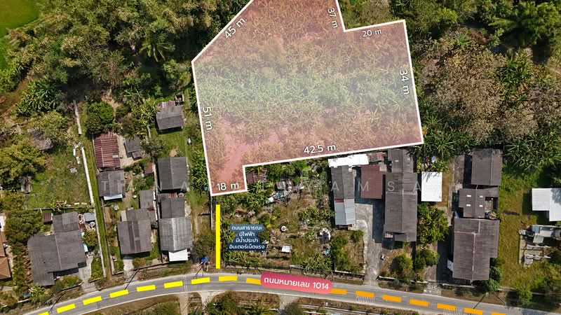 Phan, Chiang Rai, Mae Yen, Phan, Chiang Rai, , 3,328 sqm, Land For Sale, by Tanapat Yamsai, 500165886 - DDproperty.com