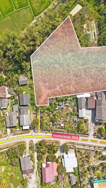 Phan, Chiang Rai, Mae Yen, Phan, Chiang Rai, , 3,328 sqm, Land For Sale, by Tanapat Yamsai, 500165886 - DDproperty.com