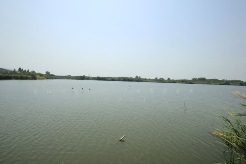 สารินซิตี้ บ้านนภาเหิร ถ.พระราม2 ซ.วัดพันท้ายนรสิงห์ ต.โคกขาม อ.เมืองสมุทรสาคร จ.สมุทรสาคร 74000, Samut Sakhon, Khok Kham, Muang Samut Sakhon, Samut Sakhon, 5 Bedrooms, 507 sqm, Single Detached House For Sale, by คุณอนุชา โพธิปัสสา (บอย), 500165905 - DDproperty.com