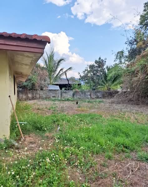 บ้านเดี่ยวขุนตาล เชียงราย, Chiang Rai, Ta, Khun Tan, Chiang Rai, 3 Bedrooms, 170 sqm, Single Detached House For Sale, by The Best Property ไนล์, 500165919 - DDproperty.com