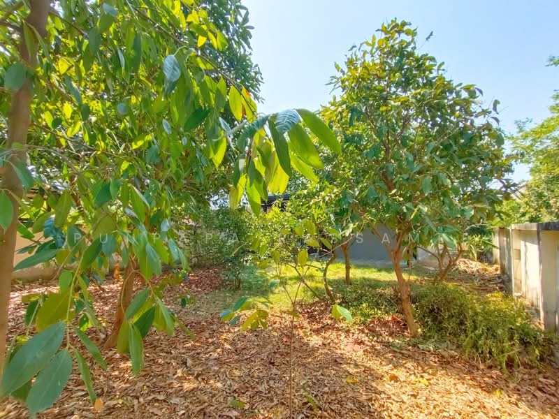 Baan Aomtana Chaiyaphruek-Wongwaen, Nonthaburi, Ban Kluai - Sai Noi Road, Bang Kruai, Bang Kruai, Nonthaburi, 3 Bedrooms, 165 sqm, Townhouse For Sale, by Punpapa Rassamee, 500165927 - DDproperty.com