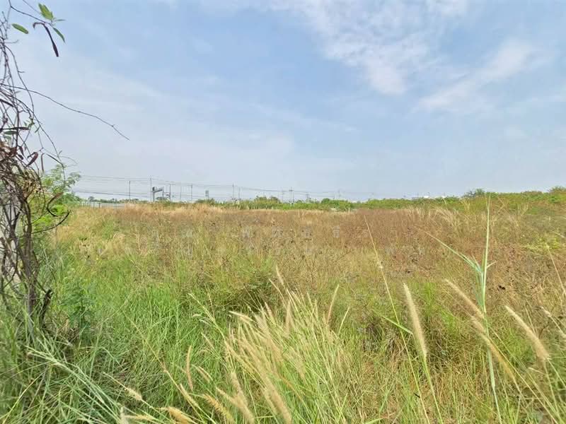 ที่ดินเปล่า 6 ไร่ 112 ตร.ว. ที่ดิน ซอยเอแบค ถนนบางนา-ตราดกม.26 บางบ่อ สมุทรปราการ, สมุทรปราการ, ถนนบางนา-ตราดกม.26, บางบ่อ, บางบ่อ, สมุทรปราการ, 10,048 ตร.ม., ที่ดิน ขาย, โดย คุณ พัทธ์ธีรา เจริญธรรม (พัท), 500165941 - DDproperty.com