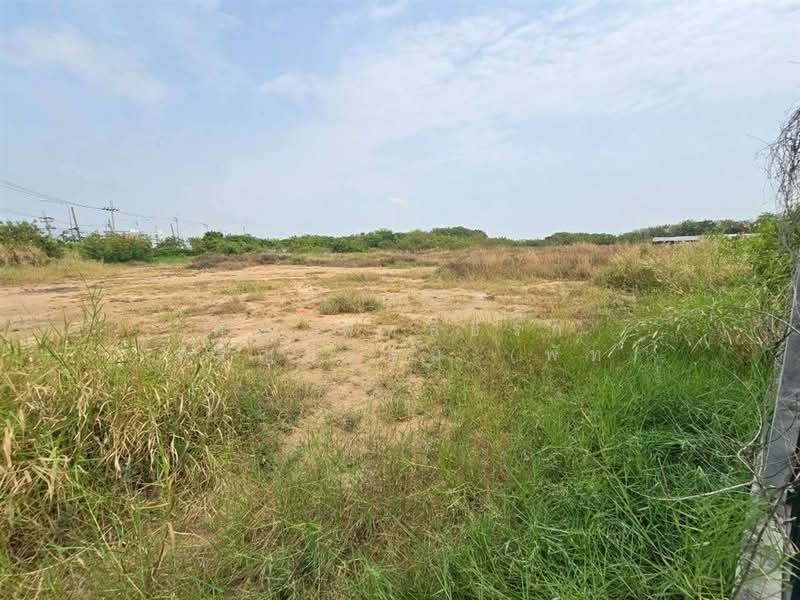 ที่ดินเปล่า 6 ไร่ 112 ตร.ว. ที่ดิน ซอยเอแบค ถนนบางนา-ตราดกม.26 บางบ่อ สมุทรปราการ, สมุทรปราการ, ถนนบางนา-ตราดกม.26, บางบ่อ, บางบ่อ, สมุทรปราการ, 10,048 ตร.ม., ที่ดิน ขาย, โดย คุณ พัทธ์ธีรา เจริญธรรม (พัท), 500165941 - DDproperty.com