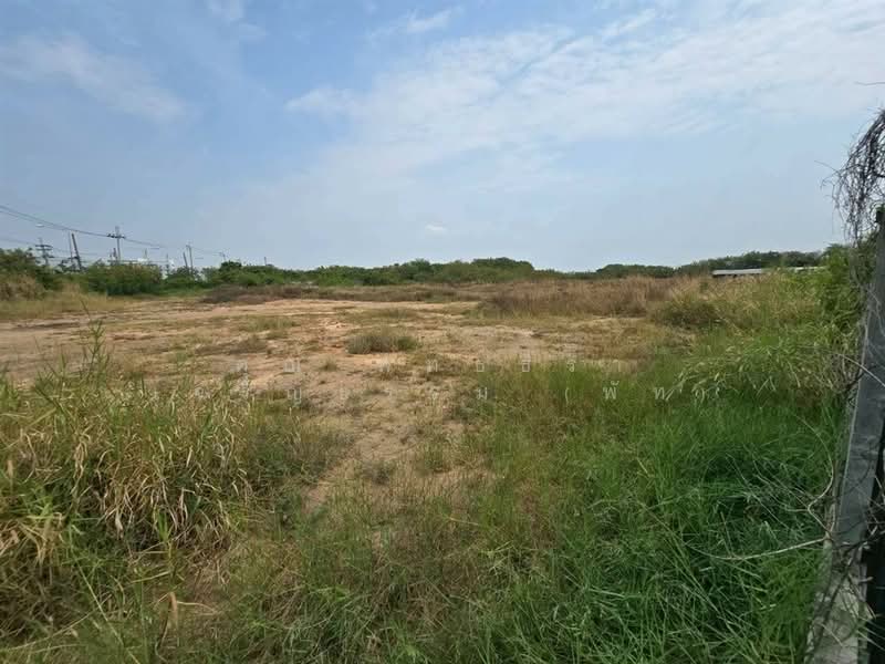 ที่ดินเปล่า 6 ไร่ 112 ตร.ว. ที่ดิน ซอยเอแบค ถนนบางนา-ตราดกม.26 บางบ่อ สมุทรปราการ, Samut Prakan, ถนนบางนา-ตราดกม.26, Bang Bo, Bang Bo, Samut Prakan, , 10,048 sqm, Land For Sale, by คุณ พัทธ์ธีรา เจริญธรรม (พัท), 500165941 - DDproperty.com