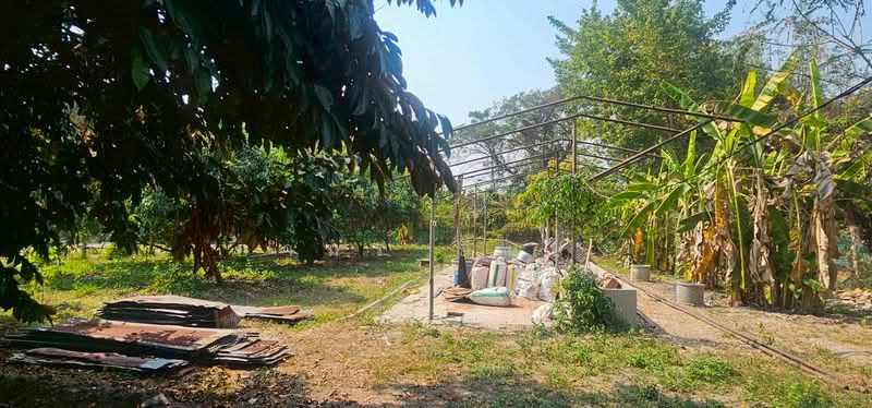 ขาย บ้านเดี่ยว โซนสันป่าตอง เชียงใหม่, Chiang Mai, Yu Wa, San Pa Tong, Chiang Mai, 3 Bedrooms, 85 sqm, Single Detached House For Sale, by Armon Yuenyong, 500165956 - DDproperty.com