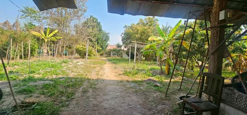 ขาย บ้านเดี่ยว โซนสันป่าตอง เชียงใหม่, Chiang Mai, Yu Wa, San Pa Tong, Chiang Mai, 3 Bedrooms, 85 sqm, Single Detached House For Sale, by Armon Yuenyong, 500165956 - DDproperty.com