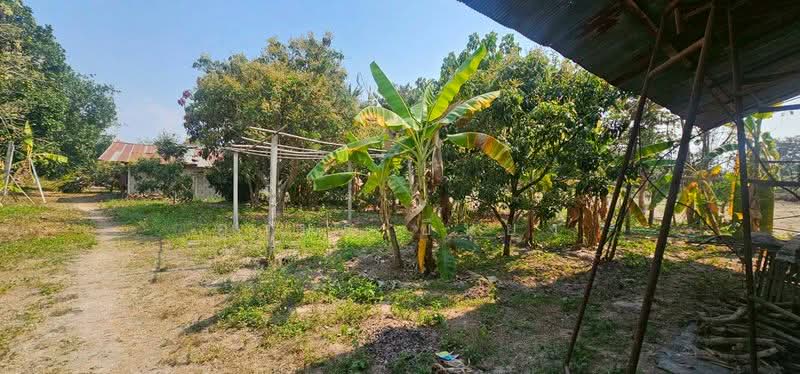 ขาย บ้านเดี่ยว โซนสันป่าตอง เชียงใหม่, Chiang Mai, Yu Wa, San Pa Tong, Chiang Mai, 3 Bedrooms, 85 sqm, Single Detached House For Sale, by Armon Yuenyong, 500165956 - DDproperty.com