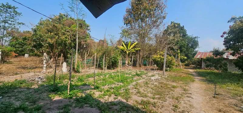 ขาย บ้านเดี่ยว โซนสันป่าตอง เชียงใหม่, เชียงใหม่, ยุหว่า, สันป่าตอง, เชียงใหม่, 85 ตร.ม., บ้านเดี่ยว ขาย, โดย อามร ยืนยง, 500165956 - DDproperty.com