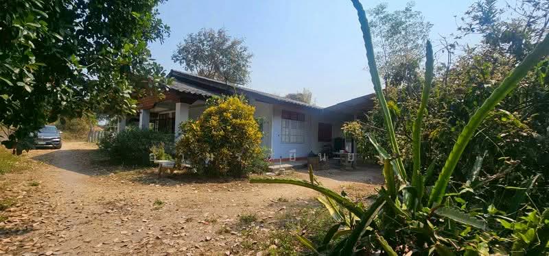 ขาย บ้านเดี่ยว โซนสันป่าตอง เชียงใหม่, เชียงใหม่, ยุหว่า, สันป่าตอง, เชียงใหม่, 85 ตร.ม., บ้านเดี่ยว ขาย, โดย อามร ยืนยง, 500165956 - DDproperty.com