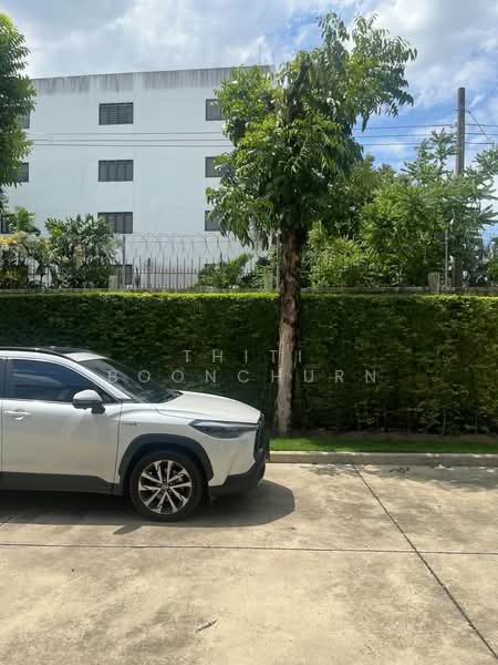 Town Avenue Srinagarindra, Bangkok, Soi On Nut 68, Suan Luang, Suan Luang, Bangkok, 3 Bedrooms, 200 sqm, Townhouse For Rent, by Thiti Boonchurn, 500165966 - DDproperty.com