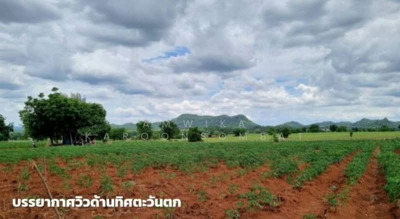 เพชรบูรณ์, Phetchabun, Khok Sa-at, Si Thep, Phetchabun, , 45,500 sqm, Land For Sale, by Amwika Karoonsombat, 500166026 - DDproperty.com