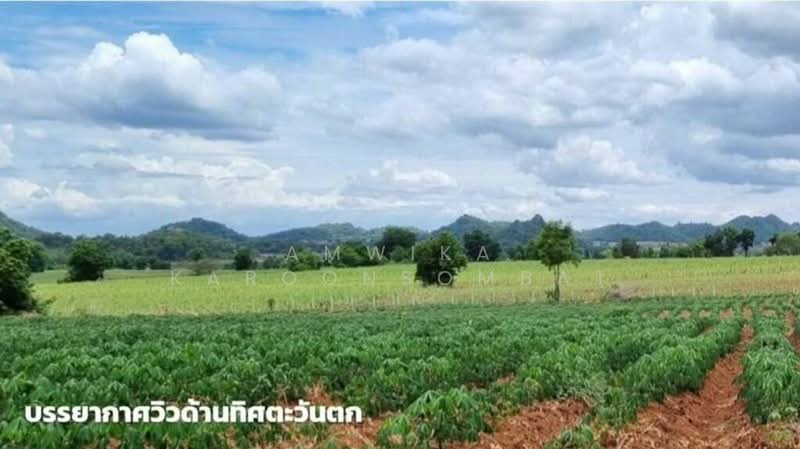 เพชรบูรณ์, Phetchabun, Khok Sa-at, Si Thep, Phetchabun, , 45,500 sqm, Land For Sale, by Amwika Karoonsombat, 500166026 - DDproperty.com