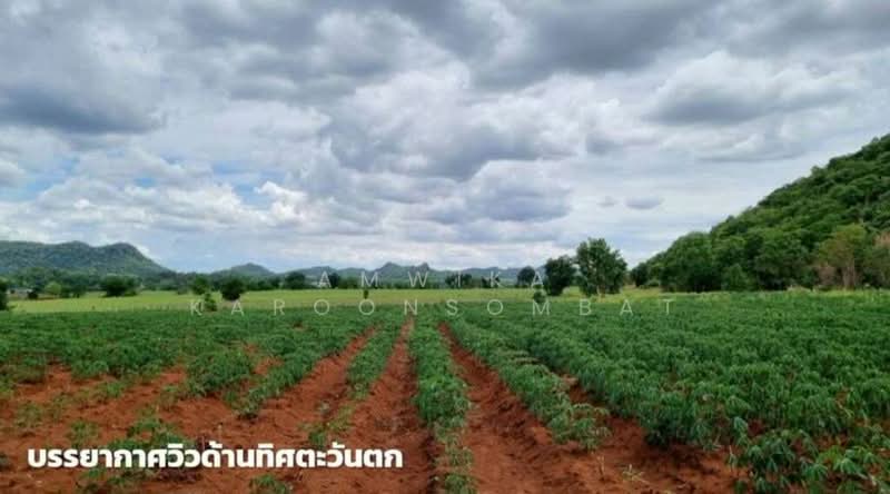 เพชรบูรณ์, เพชรบูรณ์, โคกสะอาด, ศรีเทพ, เพชรบูรณ์, 45,500 ตร.ม., ที่ดิน ขาย, โดย Amwika Karoonsombat, 500166026 - DDproperty.com
