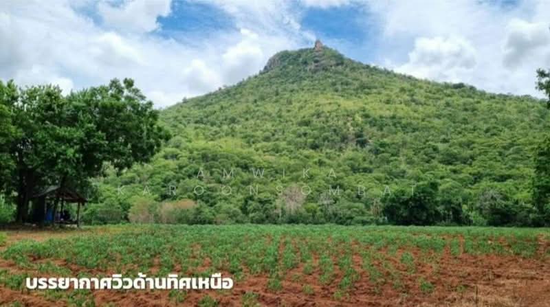 เพชรบูรณ์, Phetchabun, Khok Sa-at, Si Thep, Phetchabun, , 45,500 sqm, Land For Sale, by Amwika Karoonsombat, 500166026 - DDproperty.com