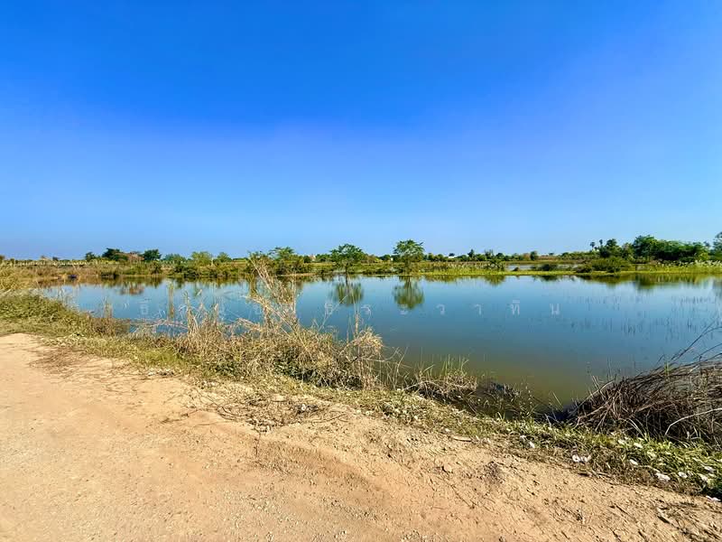Prime Land Near Nakhon Sawan Transport Office & Bueng Senat – 5 Rai, Nakhon Sawan, Bung Se-nat, Muang Nakhon Sawan, Nakhon Sawan, , 8,256 sqm, Land For Sale, by ธีรนุช ธีระวาทิน, 500166042 - DDproperty.com