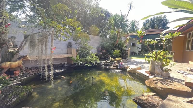 83130, ภูเก็ต, ฉลอง, เมืองภูเก็ต, ภูเก็ต, 1 ตร.ม., บ้านเดี่ยว ให้เช่า, โดย bossone, 500166061 - DDproperty.com