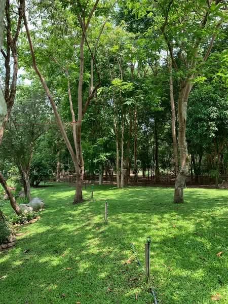 ขายที่ดินพร้อมสิ่งปลูกสร้าง บ้านไม้สักพร้อมสวน 20 ไร่ 2 งาน 59 ตร.ว. ทิศใต้ติดเนินเขา ชะอม แก่งคอย, Saraburi, Cha Om, Kaeng Khoi, Saraburi, , 33,036 sqm, Land For Sale, by Jutanon Komoottanaruk, 500166080 - DDproperty.com