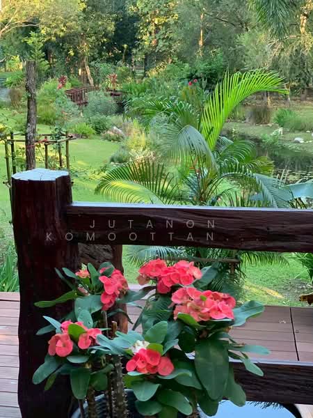 ขายที่ดินพร้อมสิ่งปลูกสร้าง บ้านไม้สักพร้อมสวน 20 ไร่ 2 งาน 59 ตร.ว. ทิศใต้ติดเนินเขา ชะอม แก่งคอย, สระบุรี, ชะอม, แก่งคอย, สระบุรี, 33,036 ตร.ม., ที่ดิน ขาย, โดย Jutanon Komoottanaruk, 500166080 - DDproperty.com