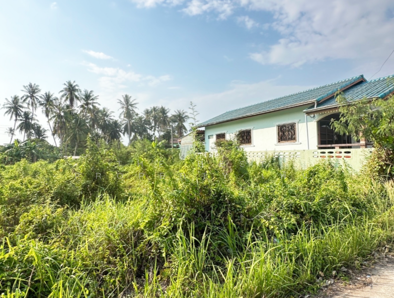 For Sale - ที่ดินแหลมสิงห์ จันทบุรี, Chanthaburi