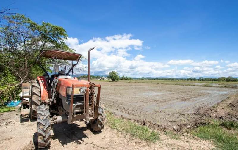 กำลังมองหาบ้านที่สมบูรณ์แบบอยู่ใช่ไหม?, เชียงใหม่, ริมเหนือ, แม่ริม, เชียงใหม่, 418 ตร.ม., บ้านเดี่ยว ขาย, โดย คุณ รุ่งทิพย์, 500166139 - DDproperty.com