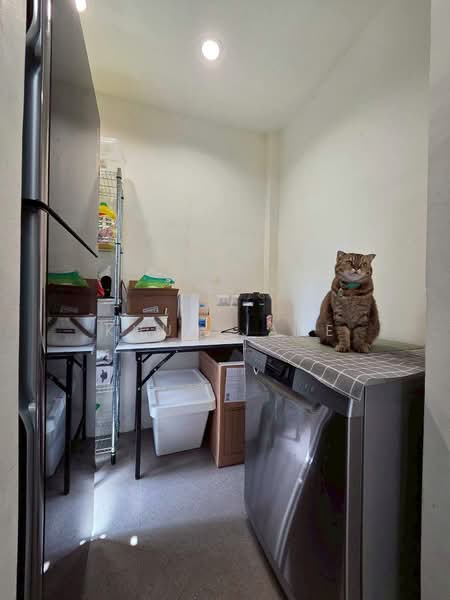 Estara Haven Pattanakan 20, Bangkok, Phatthanakan 20, Phatthanakan Road, Suan Luang, Suan Luang, Bangkok, 3 Bedrooms, 220 sqm, Townhouse For Rent, by Khun Jane, 500166181 - DDproperty.com