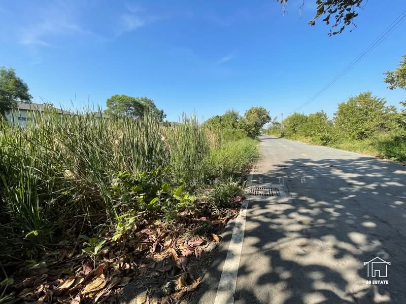 ขายที่ดิน 2 งาน ใน ซ. เอราวัณ 6 คลองสอง ปทุมธานี (ธัญบุรี) ใกล้ตลาดไอยรา, Pathum Thani, Khlong Song, Khlong Luang, Pathum Thani, , 800 sqm, Land For Sale, by วิจิตรา จิตรวงษ์ตระกูล, 500166183 - DDproperty.com