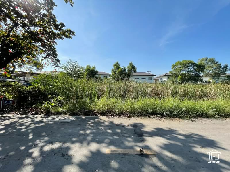 ขายที่ดิน 2 งาน ใน ซ. เอราวัณ 6 คลองสอง ปทุมธานี (ธัญบุรี) ใกล้ตลาดไอยรา, Pathum Thani, Khlong Song, Khlong Luang, Pathum Thani, , 800 sqm, Land For Sale, by วิจิตรา จิตรวงษ์ตระกูล, 500166183 - DDproperty.com