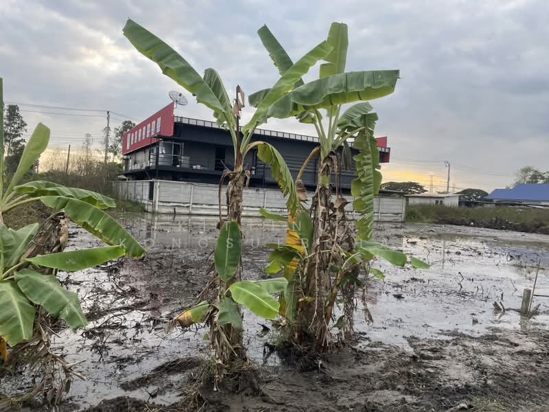 For Sale - ขายที่ดินเปล่า เลียบวารี59, Bangkok