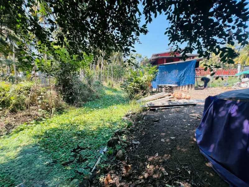 ที่ดินดำเนินสะดวก ราชบุรี, ราชบุรี, ตาหลวง, ดำเนินสะดวก, ราชบุรี, 184 ตร.ม., ที่ดิน ขาย, โดย The Best Property กิ๊ก, 500166272 - DDproperty.com