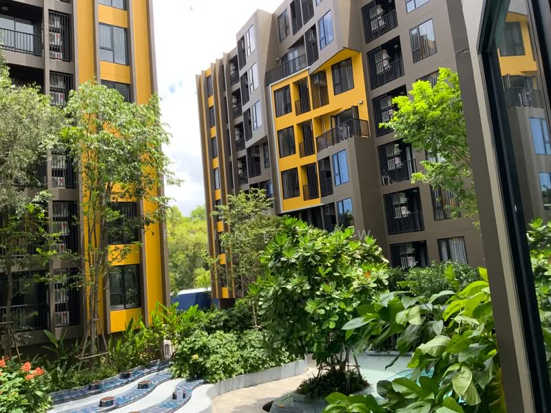 The Base Central, Phuket, Chao Fah Tawan Tok Rd, Wichit, Muang Phuket, Phuket, Studio, 29 sqm, Condo For Rent, by Prime Dew, 500166278 - DDproperty.com