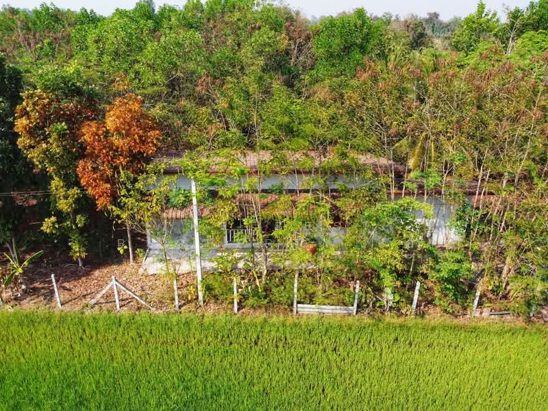 For Sale - บ้านเดี่ยวพร้อมที่ดินหนองฉาง อุทัยธานี, Uthai Thani