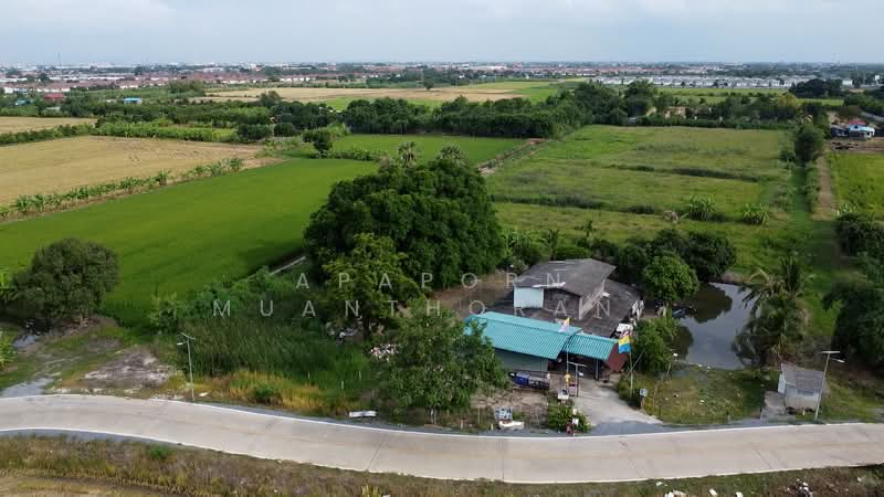 ✨ขายด่วน! ที่ดินบางใหญ่ ซอยคลองถนน แปลงสวยทำเลดีมาก 🔥 ใกล้รถไฟฟ้าคลองบางไผ่ + เซ็นทรัลเวสต์เกต 🚗💨, นนทบุรี, บางคูรัด, บางบัวทอง, นนทบุรี, 11,148 ตร.ม., ที่ดิน ขาย, โดย Apaporn Muanthorani, 500166404 - DDproperty.com