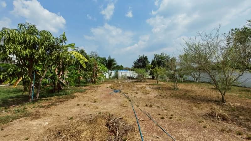 For Sale - บ้านเดี่ยว 2 หลัง พร้อมที่ดิน 1 ไร่ 55.4 ตารางวา เกาะโพธิ์, Nakhon Nayok